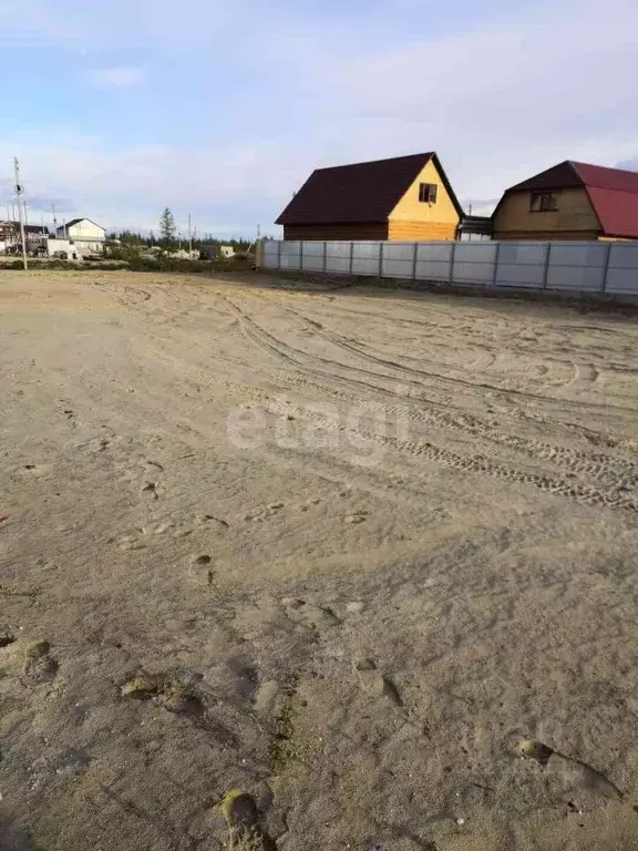 Участок в Ямало-Ненецкий АО, Новый Уренгой Фемида СНТ, ул. 2-я Лесная, ... - Фото 1