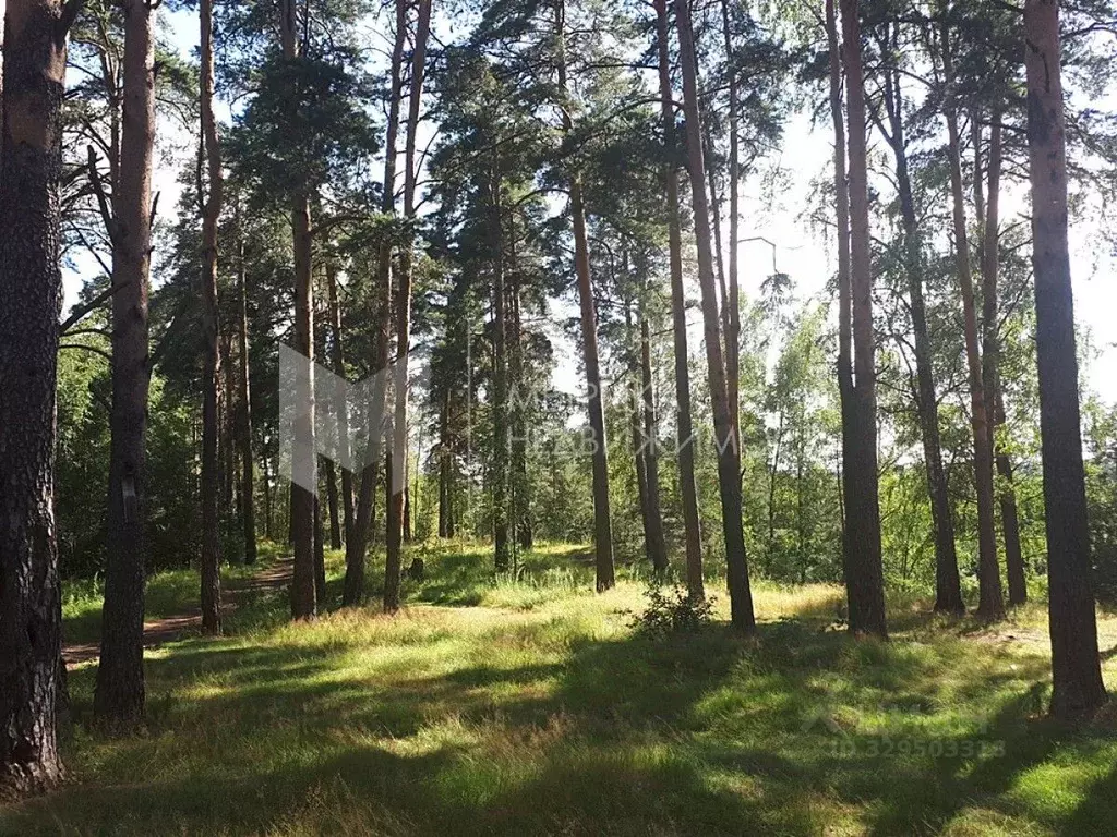 Участок в Тюменская область, Тюмень ул. Ягодная (5.0 сот.) - Фото 2