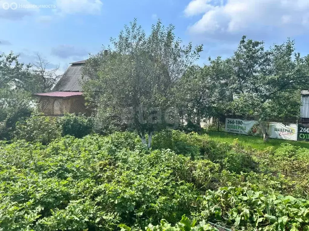 Участок в Миасс, СНТ Ильмены (4.05 м) - Фото 0