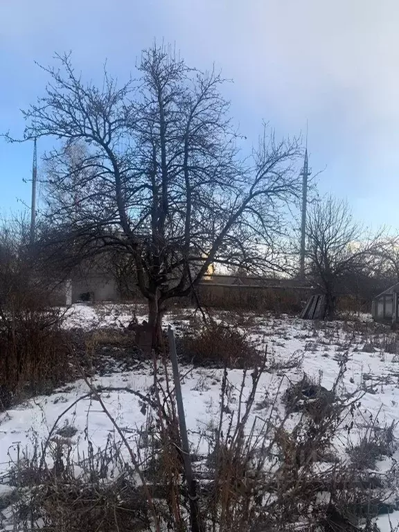 Участок в Свердловская область, Каменск-Уральский № 131 садоводческое ... - Фото 0