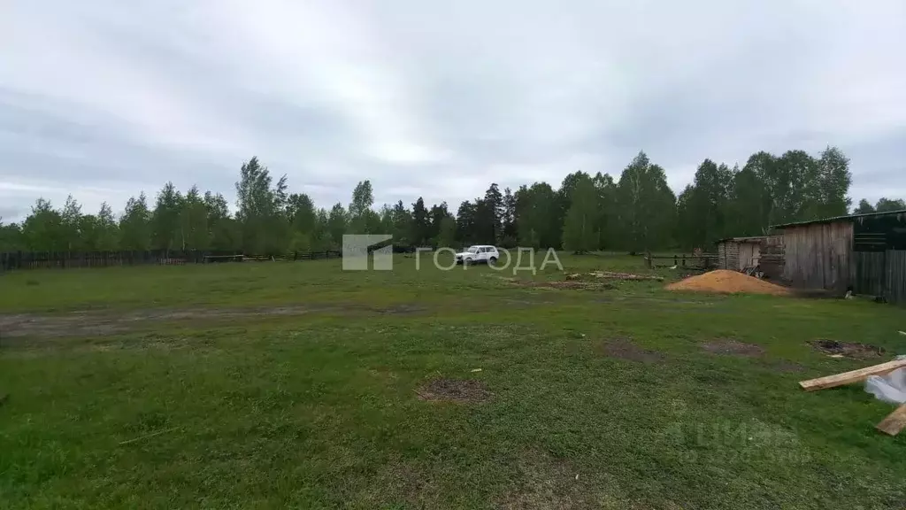 Участок в Алтайский край, Тальменский район, с. Ларичиха Лесная ул. ... - Фото 0