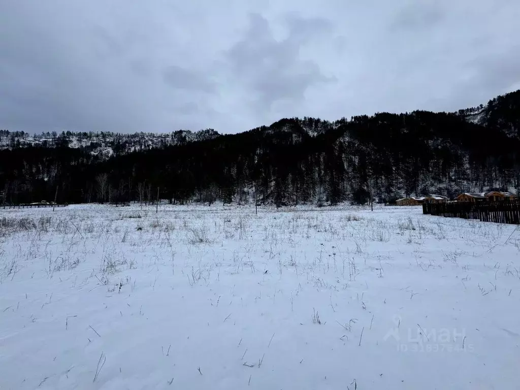 Участок в Алтайский край, Алтайский район, с. Нижнекаменка  (800.0 ... - Фото 0