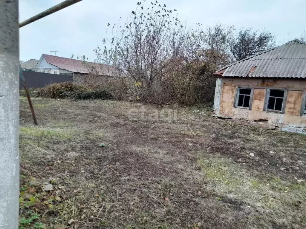 Участок в Белгородская область, Корочанский район, Бубновское с/пос, ... - Фото 1