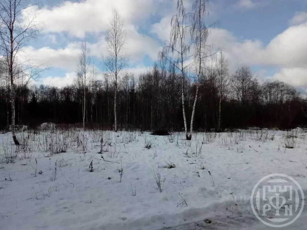Участок в Ленинградская область, Волосовский район, Рабитицкое с/пос, ... - Фото 2