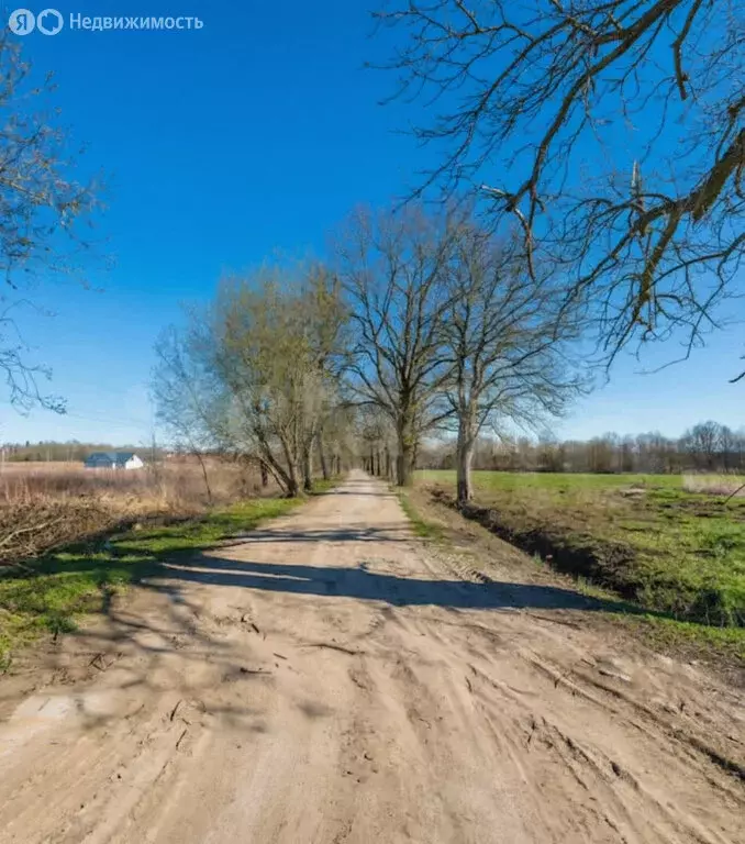 Участок в посёлок Заозерье, Центральный переулок (8 м) - Фото 2