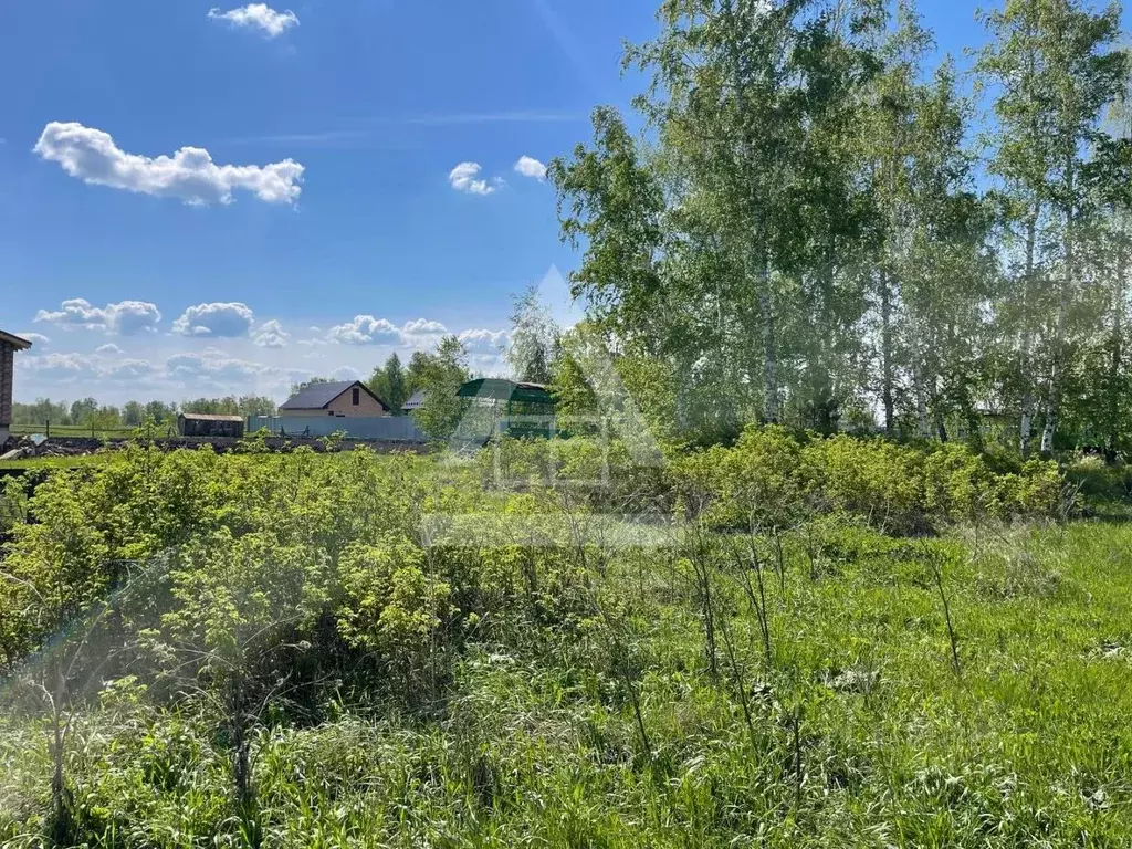 Участок в Челябинская область, Коркинский муниципальный округ, Роза ... - Фото 2