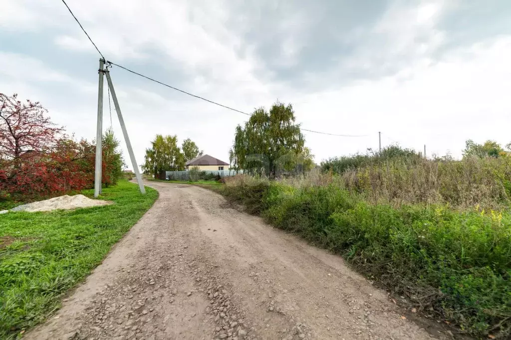 Участок в Курганская область, Кетовский муниципальный округ, с. Новая ... - Фото 1
