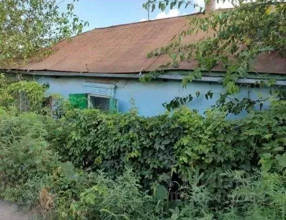 Дом в Ростовская область, Азовский район, с. Самарское Красноармейский ... - Фото 0