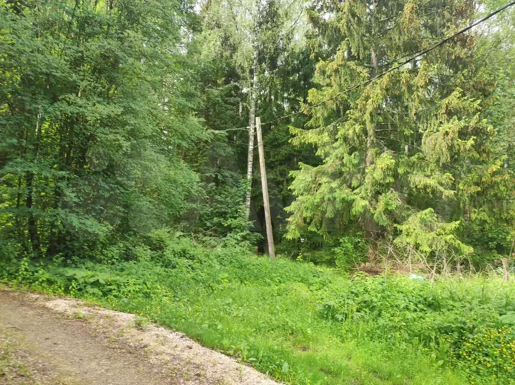 Дом 45 м на участке 16,5 сот. - Фото 1