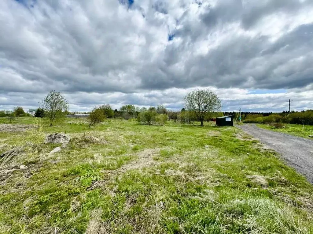 Участок в Московская область, Пушкинский городской округ, д. Хлопенево ... - Фото 1