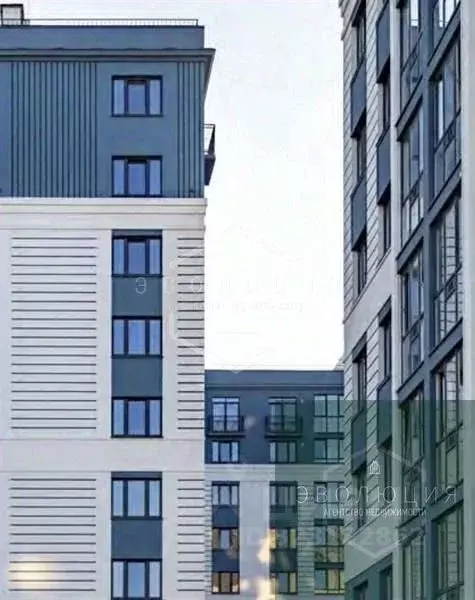 3-к кв. Калининградская область, Калининград ул. Героя России ... - Фото 2