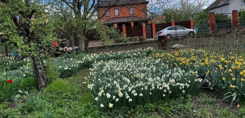 Участок в Ростовская область, Ростов-на-Дону пер. 2-й Рядовой (4.86 ... - Фото 1