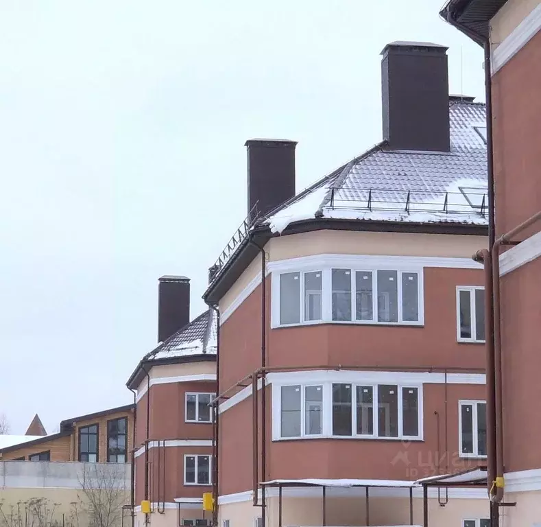 1-к кв. Московская область, Истра муниципальный округ, с. Павловская ... - Фото 2