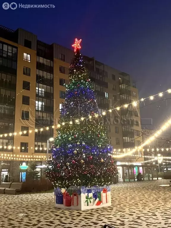 1-комнатная квартира: городской посёлок Новоселье, Невская улица, 9 ... - Фото 2