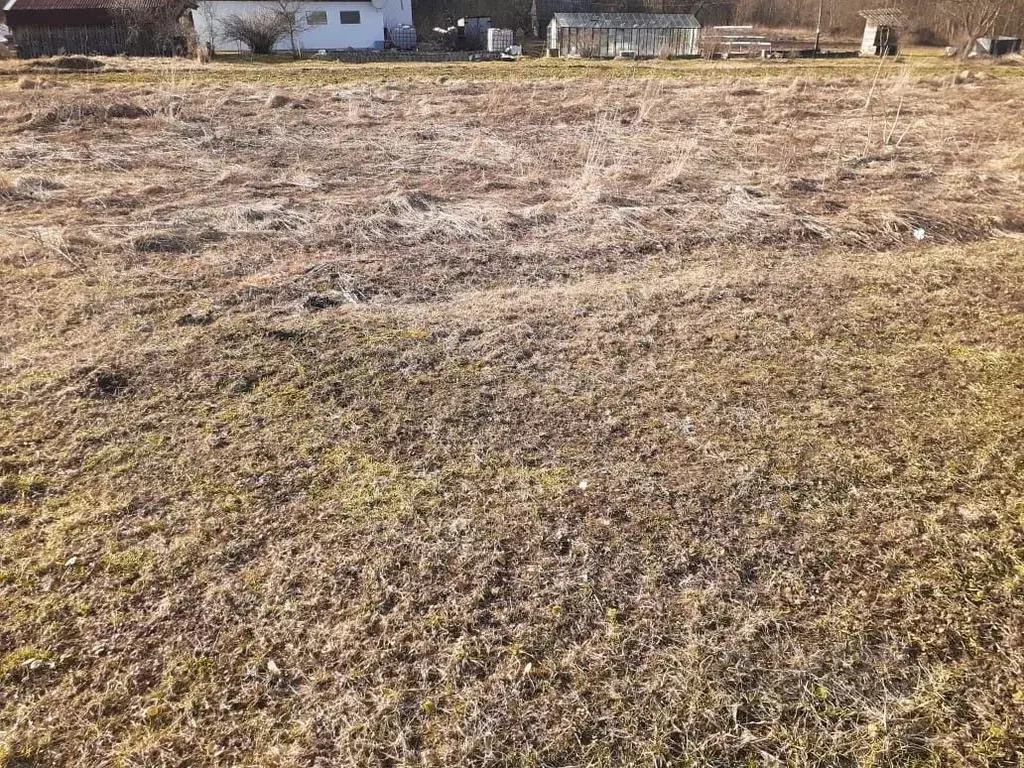 Участок в Новгородская область, Батецкий муниципальный округ, д. ... - Фото 2