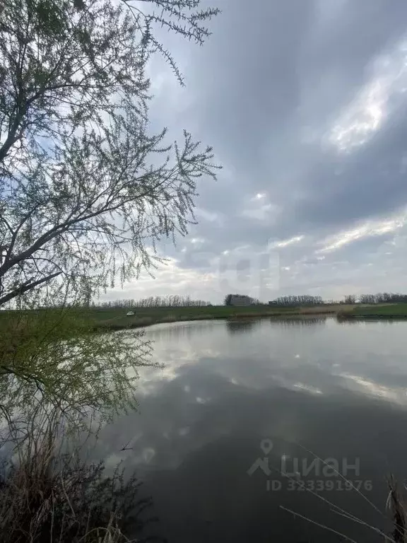 Участок в Ростовская область, Мясниковский район, с. Большие Салы ул. ... - Фото 2