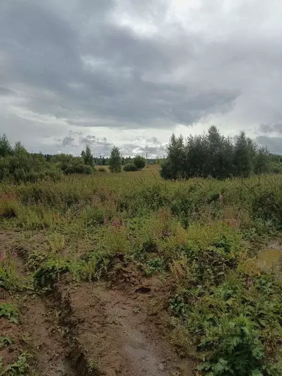 Участок в Московская область, Солнечногорск городской округ, д. Мостки ... - Фото 2