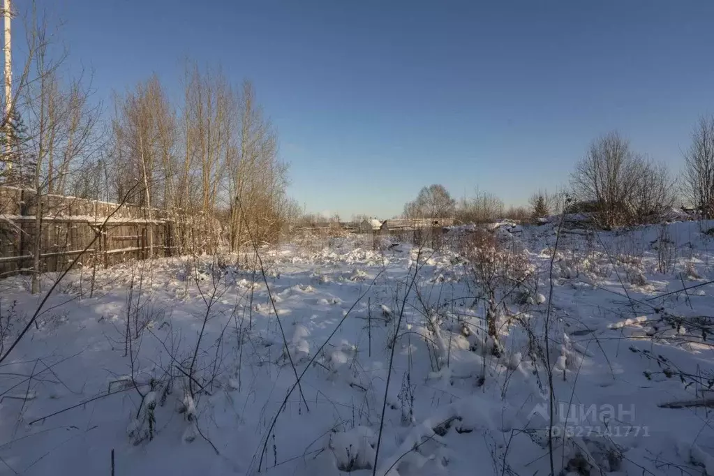 Участок в Пермский край, Пермский муниципальный округ, с. Ляды ул. ... - Фото 2