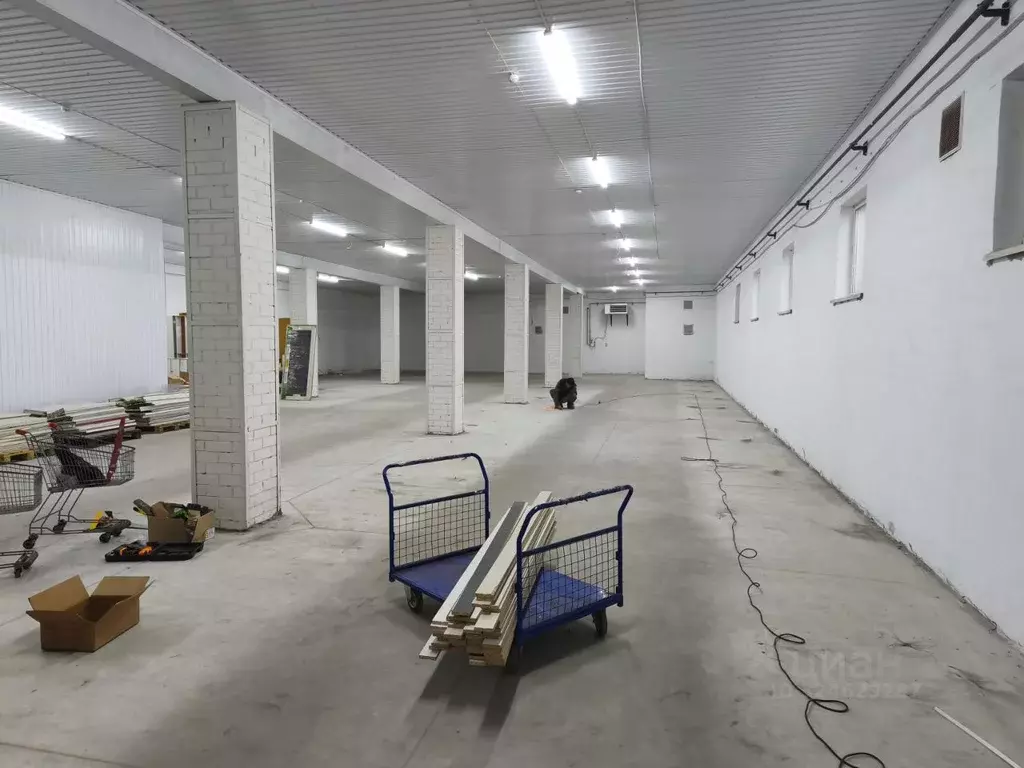 Помещение свободного назначения в Брянская область, Брянск Большое ... - Фото 1