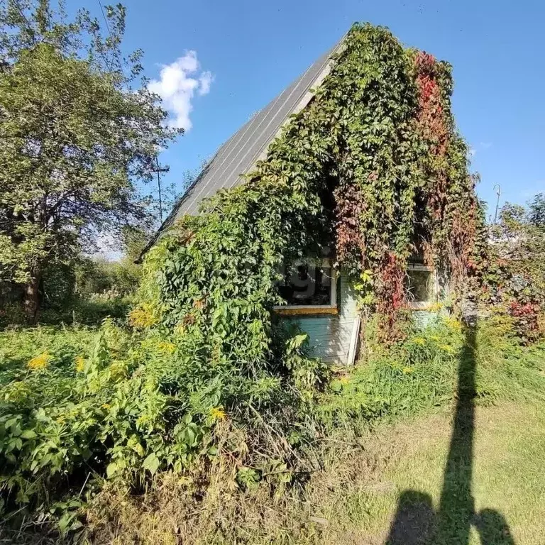 Дом в Вологодская область, Вологда Виктория садоводческое ... - Фото 1