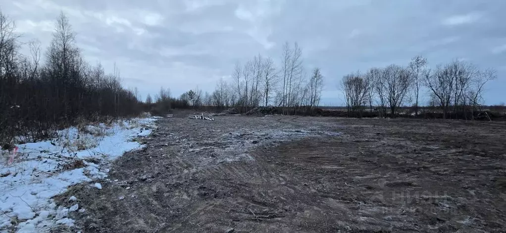 Участок в Карелия, Прионежский муниципальный район, пос. Шуя  (8.0 ... - Фото 1