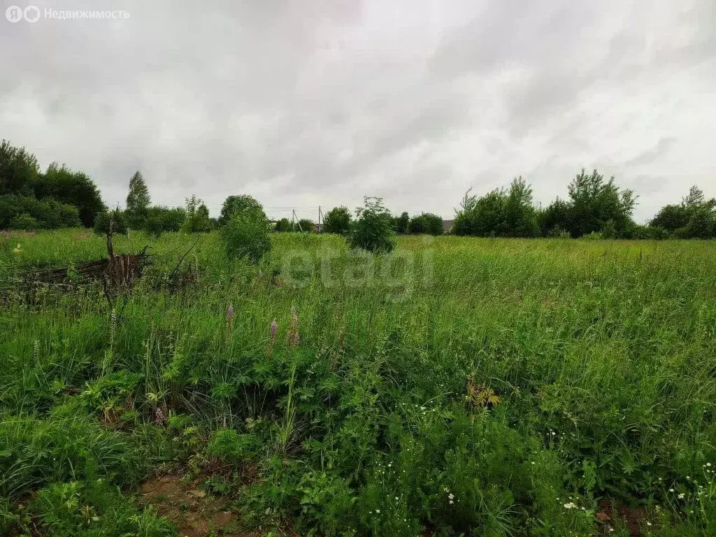 Участок в Чернушка, Рябиновая улица (15 м) - Фото 0