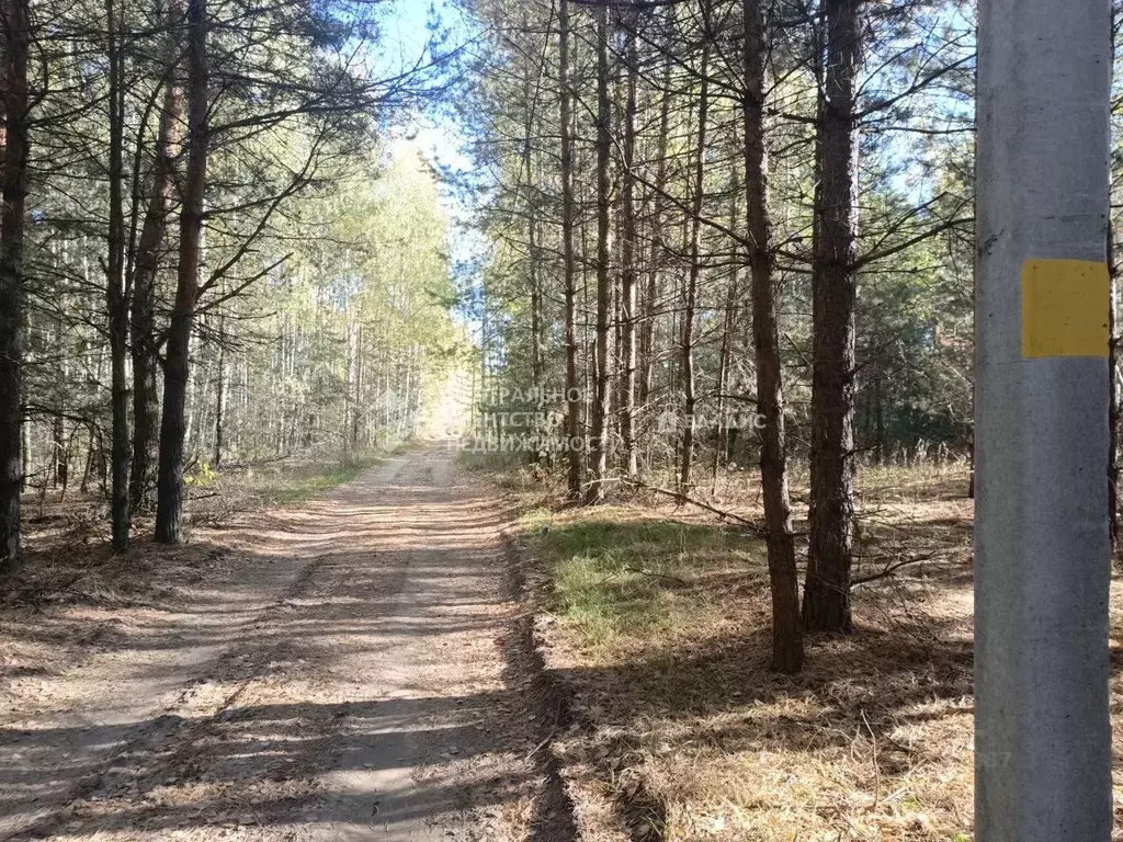 Участок в Рязанская область, Спасский муниципальный округ, ... - Фото 2