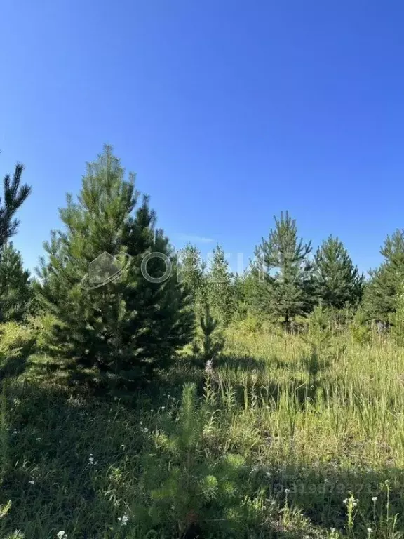 Участок в Тюменская область, Тюменский район, Априори кп  (10.0 сот.) - Фото 0