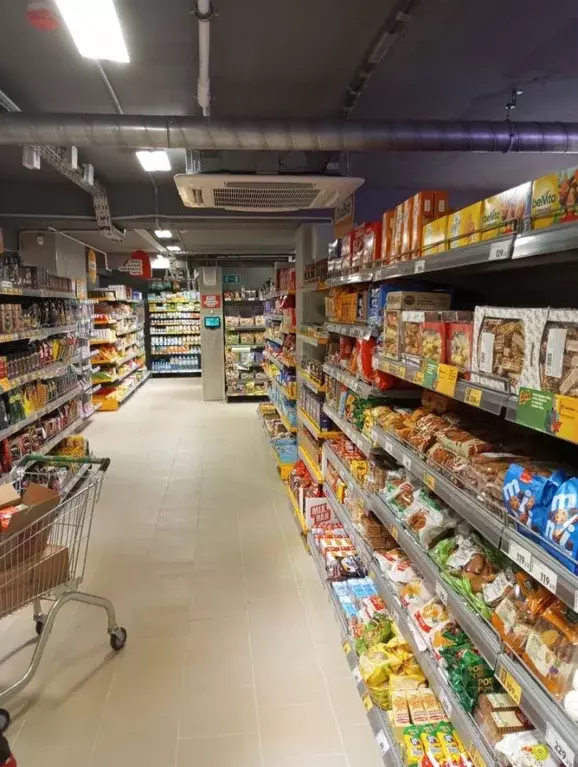 Помещение свободного назначения в Татарстан, Набережные Челны пос. ... - Фото 2