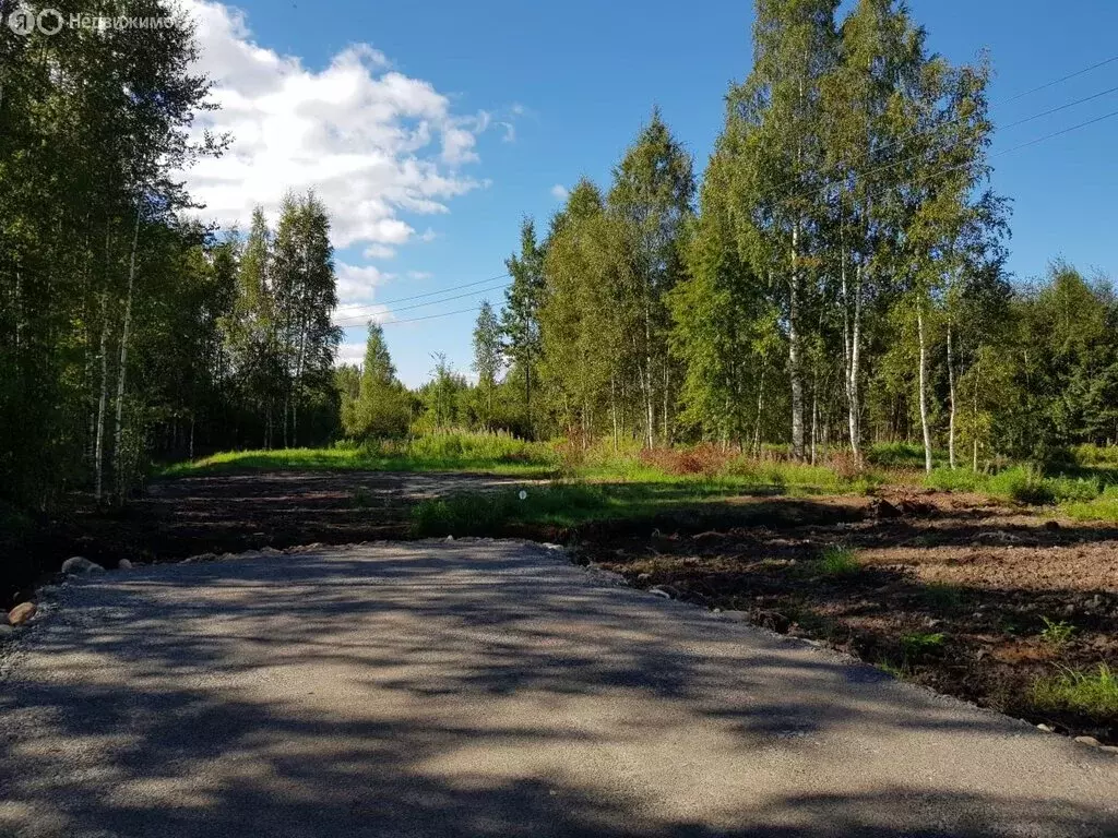 Участок в Куйвозовское сельское поселение, КП Грузино сити (6 м) - Фото 1