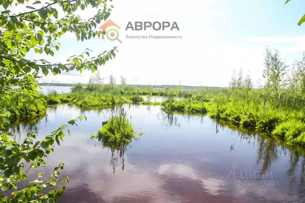 Дом в Ханты-Мансийский АО, Сургут № 45 Заречный СОТ,  (55 м) - Фото 1