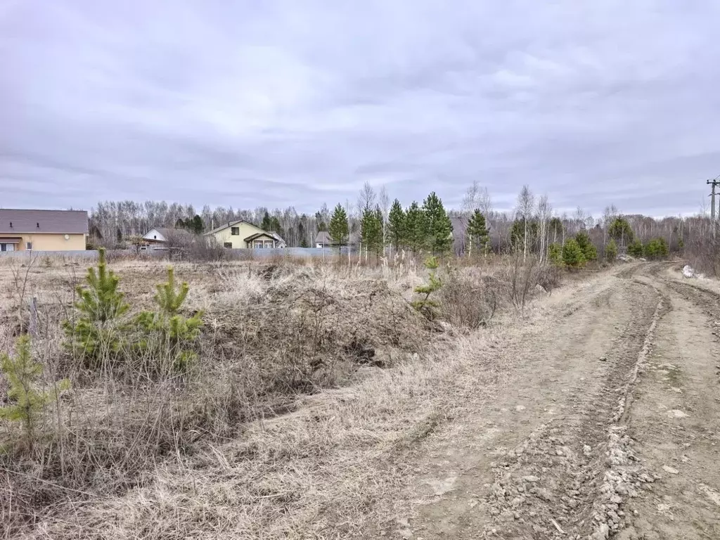 Участок в Тюменская область, Нижнетавдинский муниципальный округ, д. ... - Фото 1