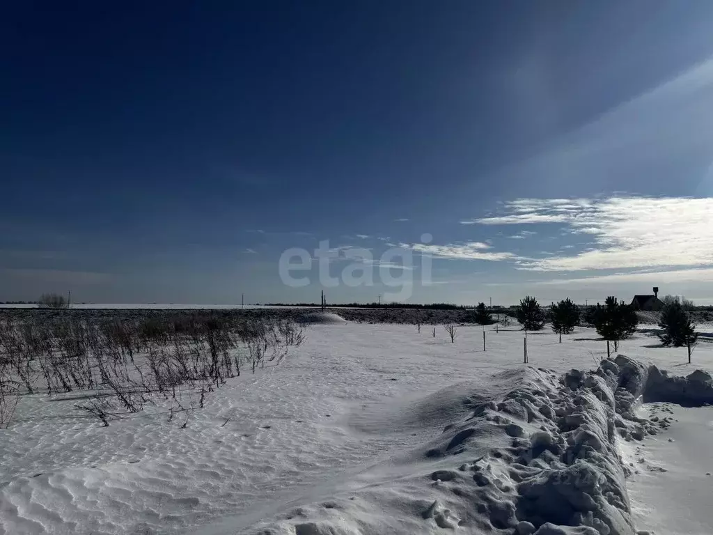 Участок в Смоленская область, Руднянский муниципальный округ, д. ... - Фото 1