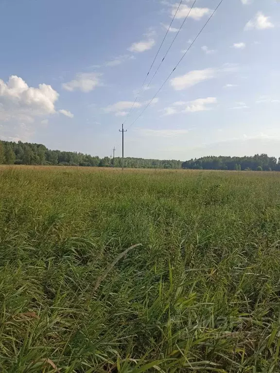 Участок в Тверская область, Конаковский муниципальный округ, ... - Фото 2