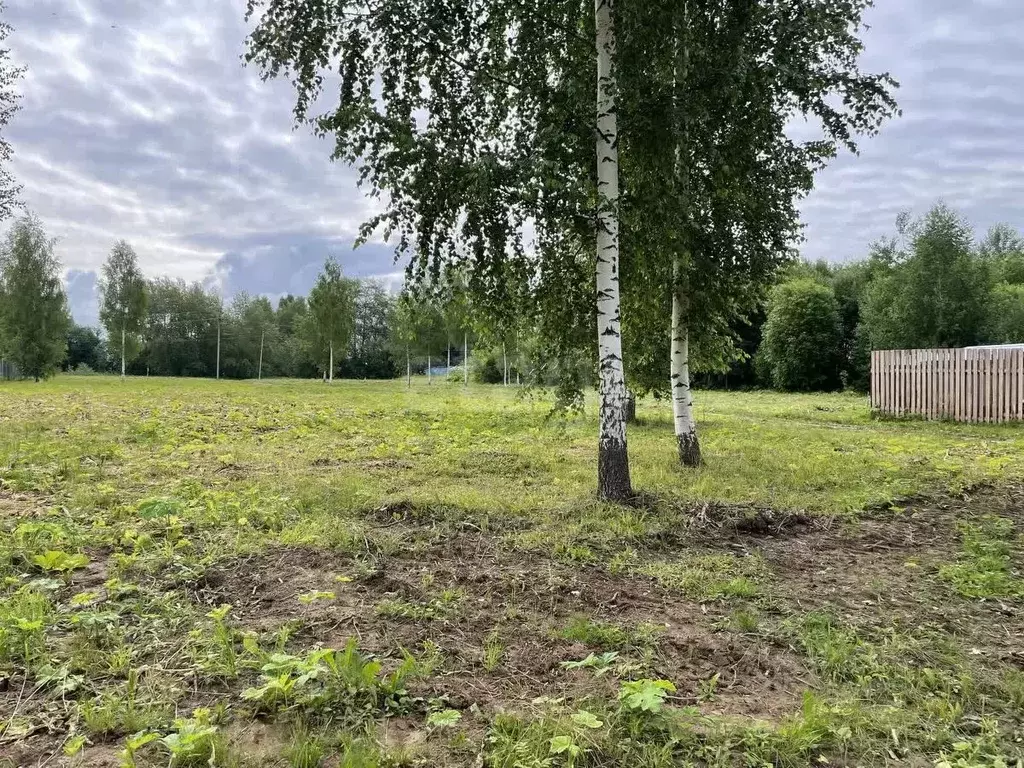 Участок в Пермский край, Добрянский муниципальный округ, д. Залесная ... - Фото 2