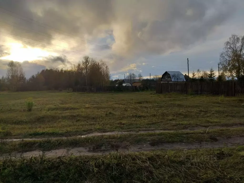 Участок в Нижегородская область, Городецкий муниципальный округ, д. ... - Фото 2