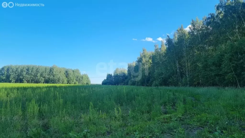 Участок в Каменка, Ирбитская улица (19.28 м) - Фото 1