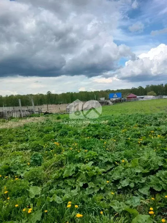 Дом в Новосибирская область, Тогучинский район, с. Лебедево ул. ... - Фото 1