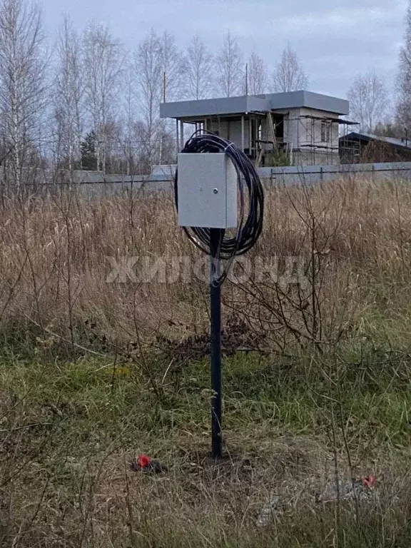 Участок в Новосибирская область, Новосибирский район, Барышевский ... - Фото 2