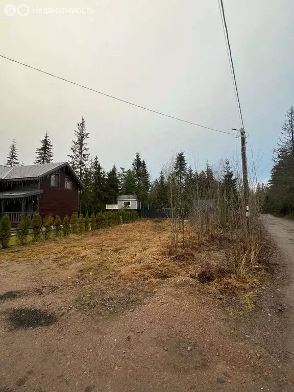 Участок в Приозерский район, Сосновское сельское поселение, деревня ... - Фото 1