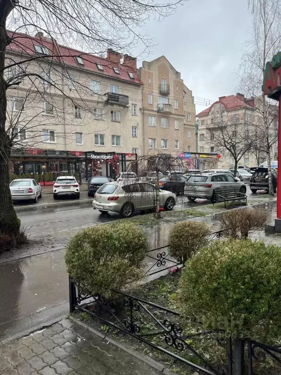 Торговая площадь в Калининградская область, Калининград ул. Космонавта ... - Фото 1