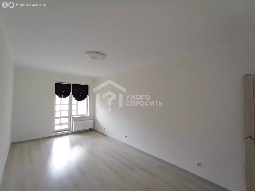 Квартира-студия: Санкт-Петербург, проспект Ветеранов, 175 (25 м) - Фото 2