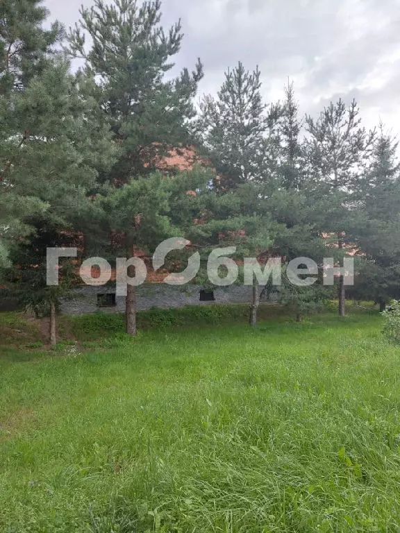 Продается дом в д. Марьино - Фото 2