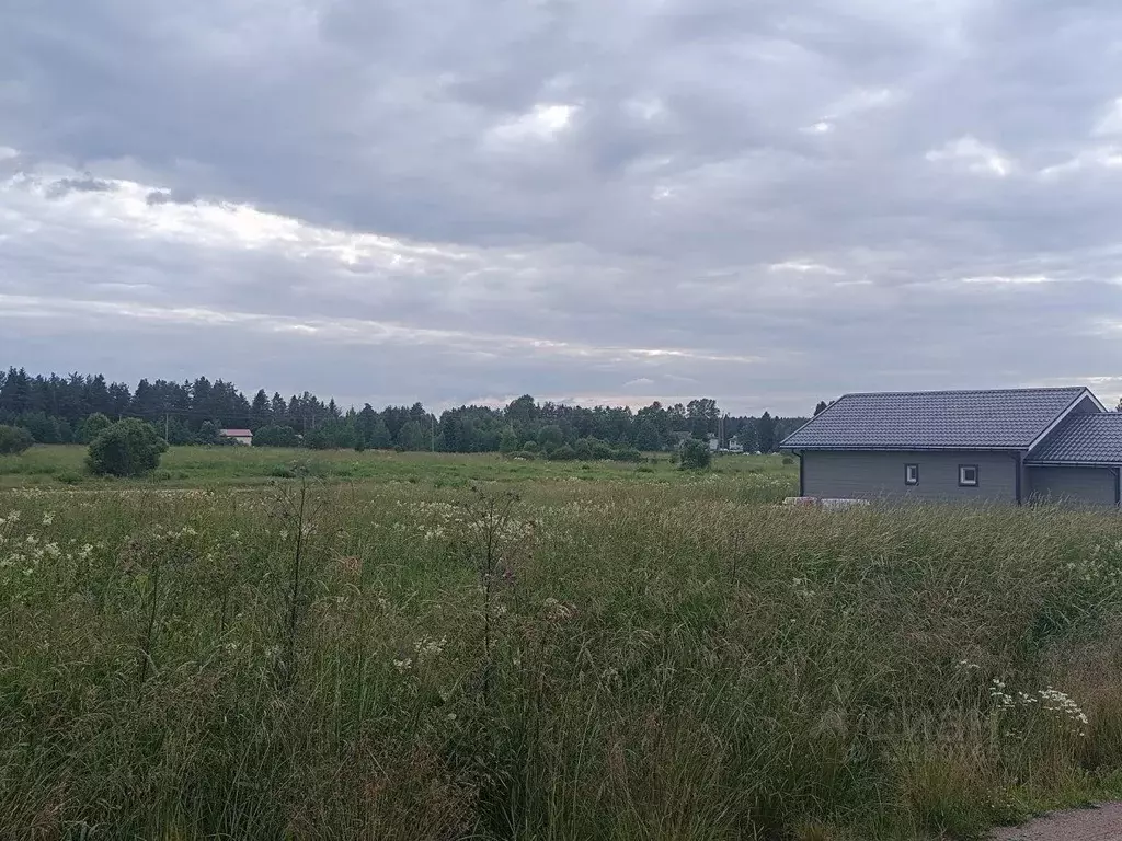 Участок в Ленинградская область, Выборгский район, Рощинское городское ... - Фото 1