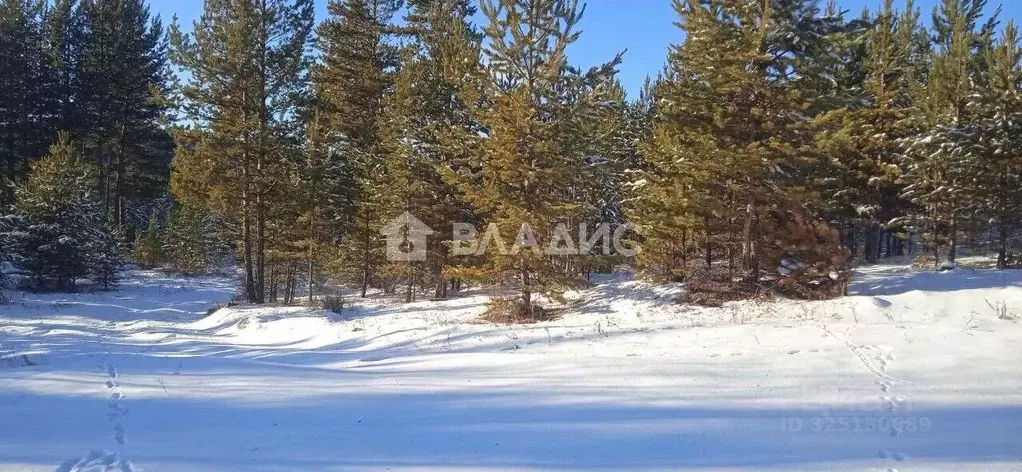 Участок в Бурятия, Улан-Удэ ул. Беловежская (4.0 сот.) - Фото 2