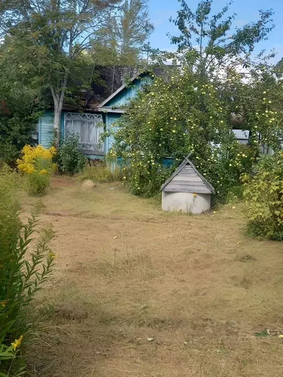 Участок в Ленинградская область, Кингисепп Сережино садоводческий ... - Фото 1