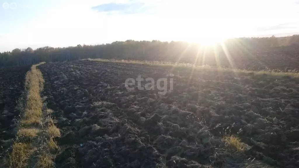 Участок в Курганская область, Шадринский муниципальный округ, село ... - Фото 0