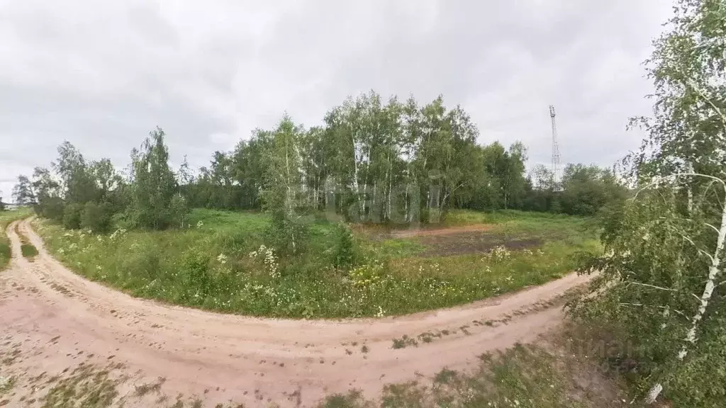 Участок в Тюменская область, Тюменский район, с. Кулига Заречная ул. ... - Фото 0