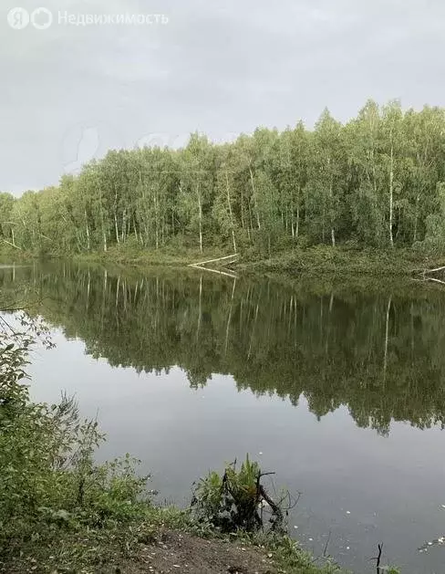 Участок в Тюменский район, село Луговое (7.8 м) - Фото 0