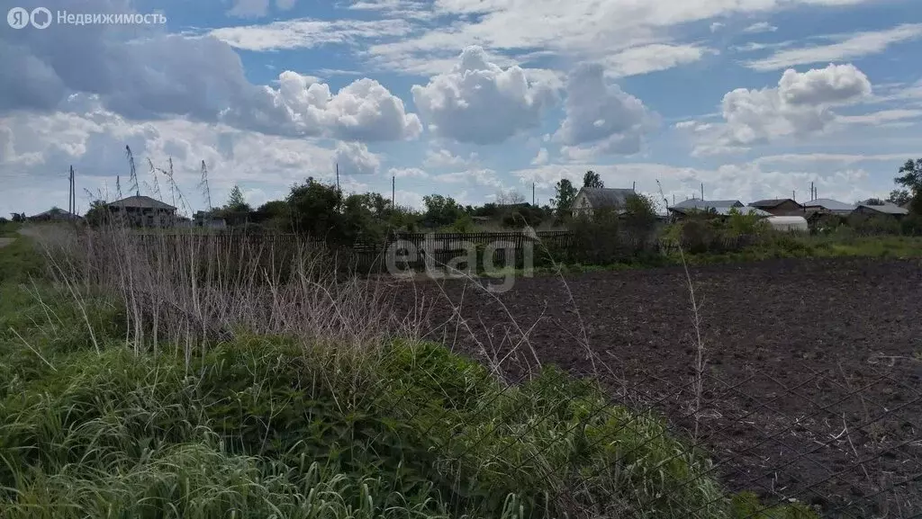 Участок в Курганская область, Шадринский муниципальный округ, село ... - Фото 0